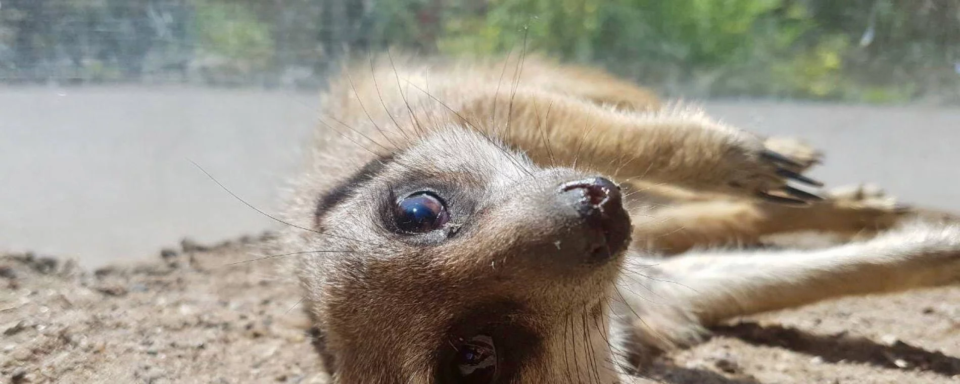 Tierpark Hamm Online Shop